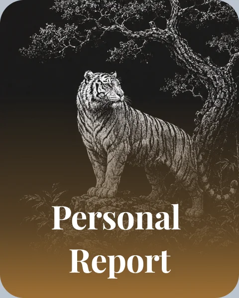 Personal Report