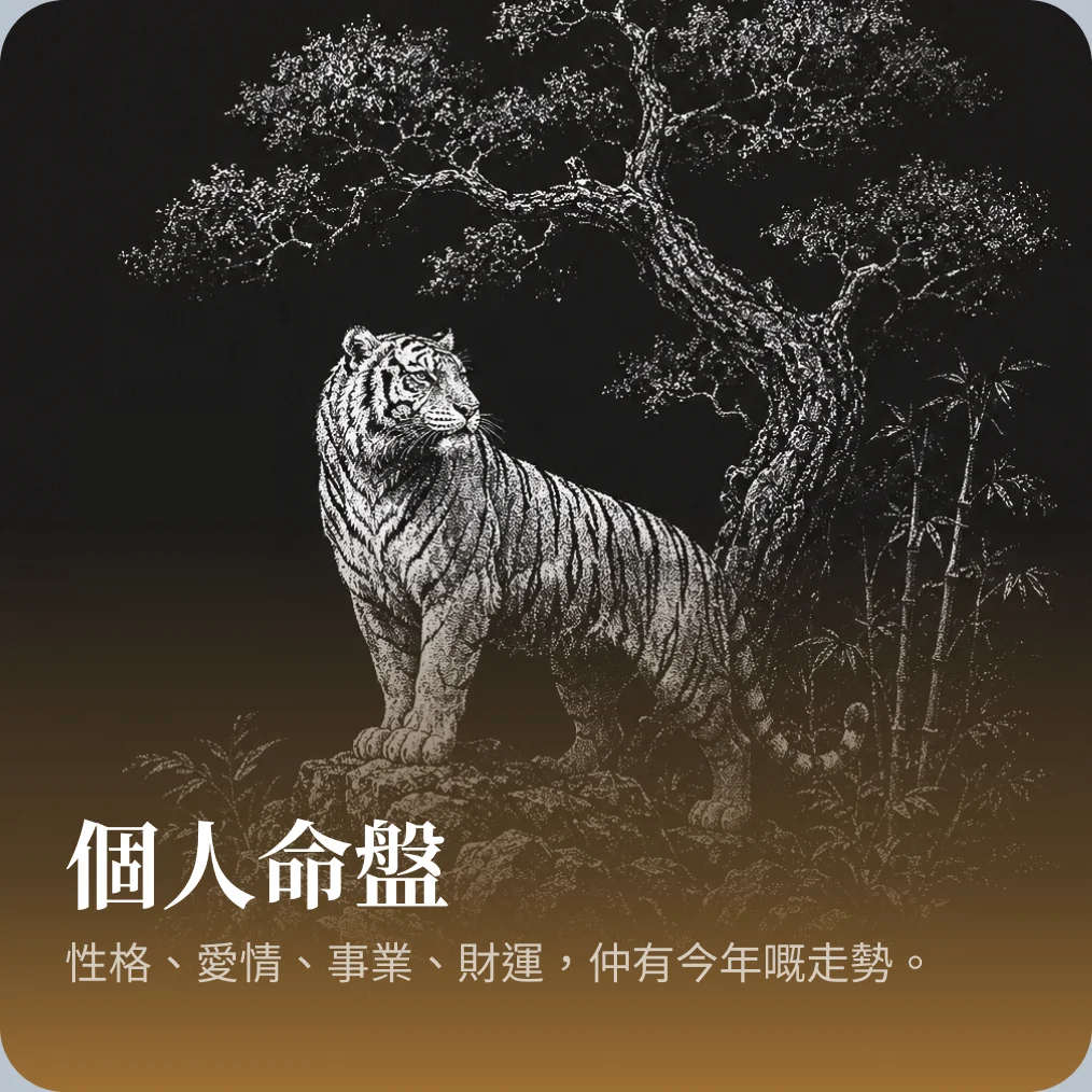 個人命盤