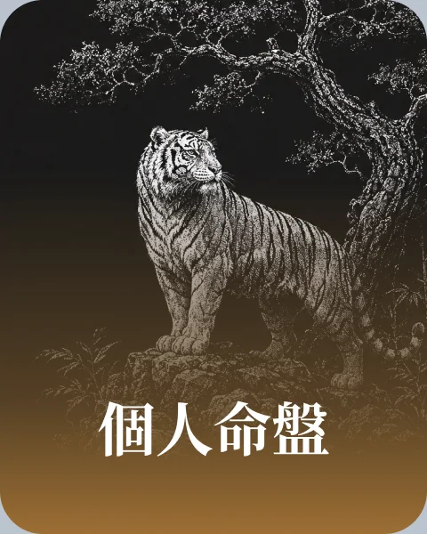個人命盤
