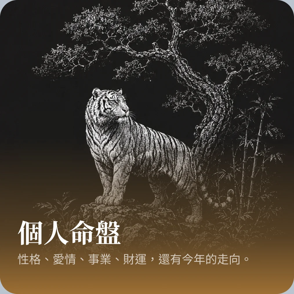 個人 命盤
